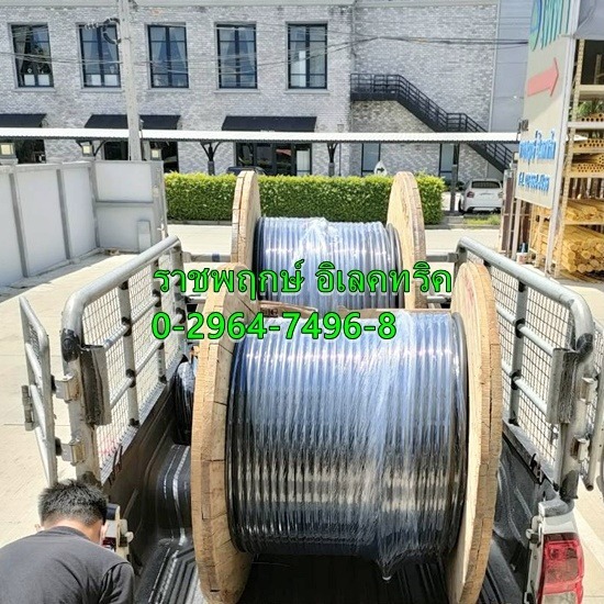 รับสั่งตัด สายไฟ สายสัญญาน ราคาส่ง อุปกรณ์ประกอบตู้ควบคุมไฟฟ้า  รับสั่งตัด สายไฟ สายสัญญาน ราคาส่ง  ราชพฤกษ์ อิเลคทริค ศูนย์จำหน่ายสายไฟฟ้าราคาส่ง 